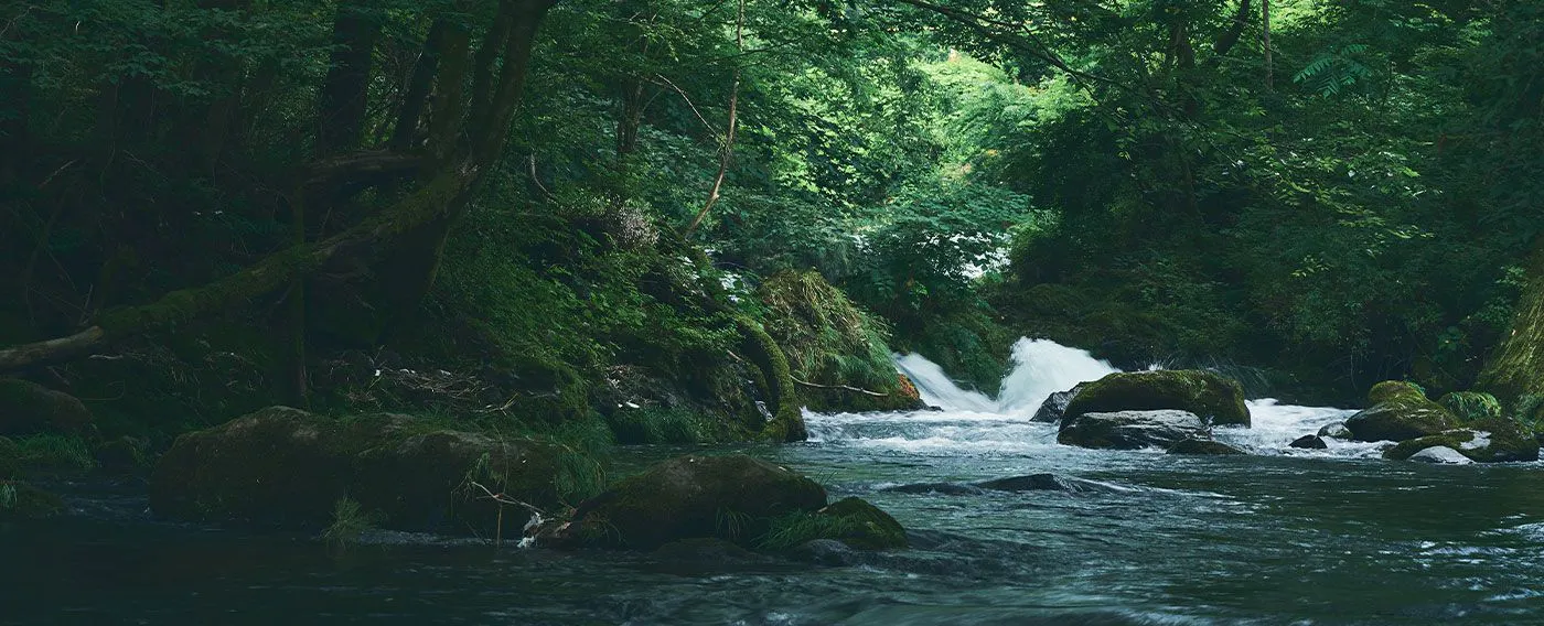 บริเวณโดยรอบ