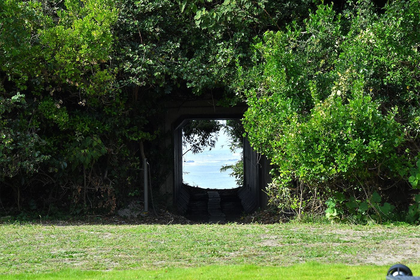 Avalon Cove