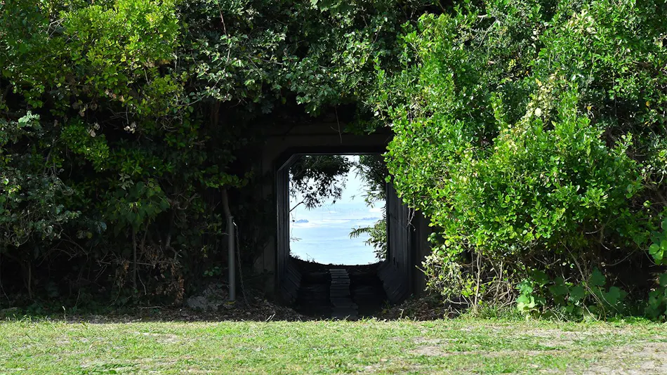 Avalon Cove