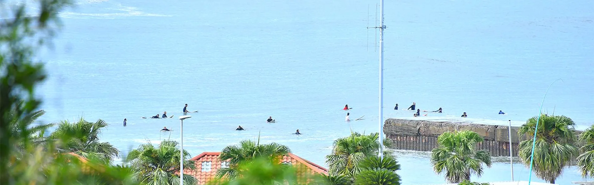 Avalon Cove