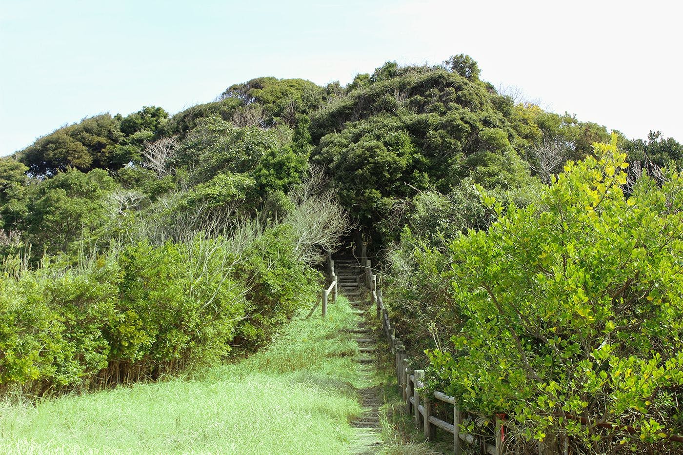 Avalon Cove