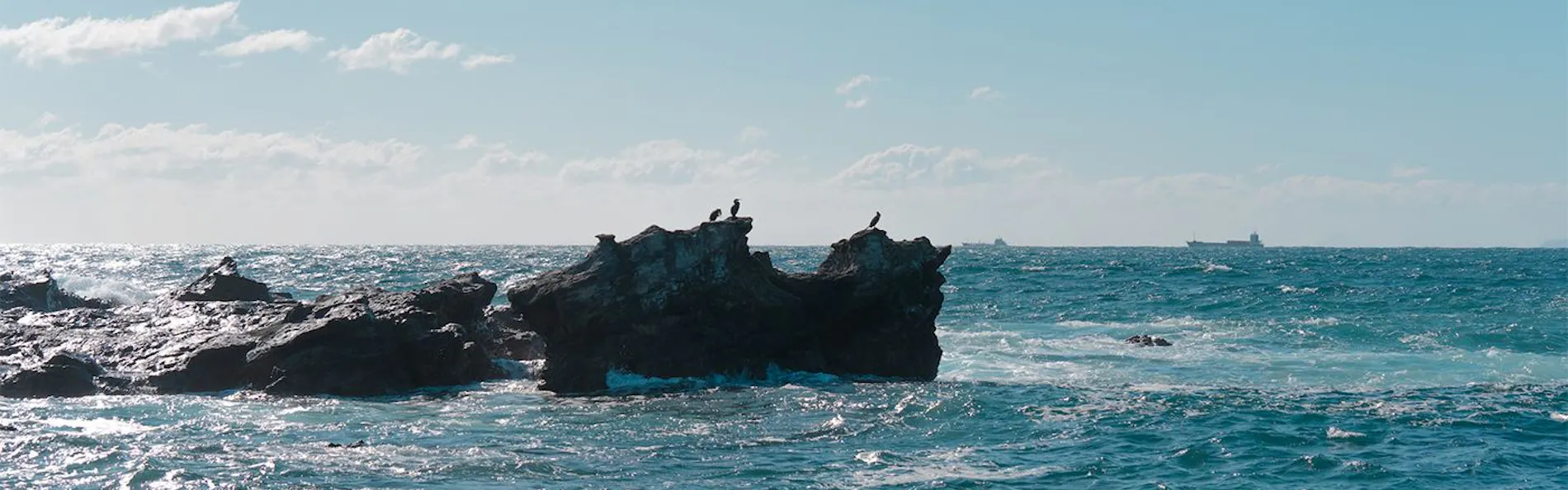 On the wave 館山