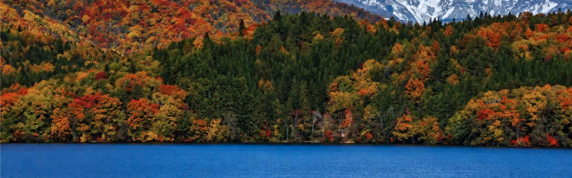Lakeside villa SUI HAKUBA