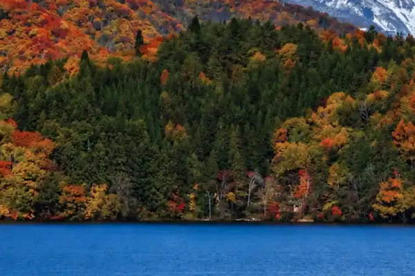Lake Aoki