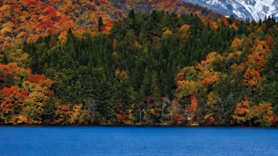 Lakeside villa SUI HAKUBA