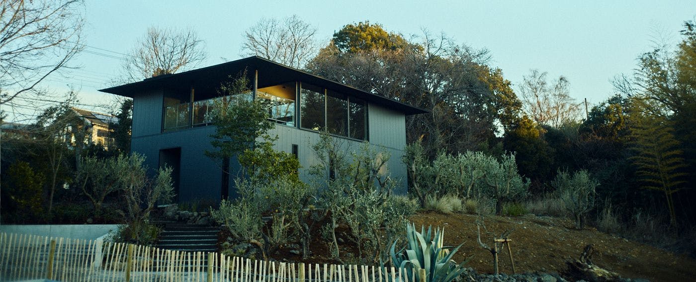 Hiire IZU OLIVE