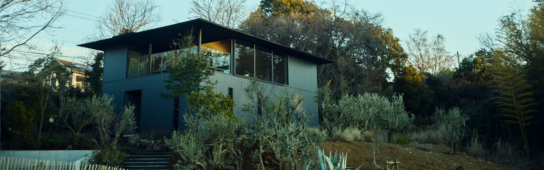 Hiire IZU OLIVE