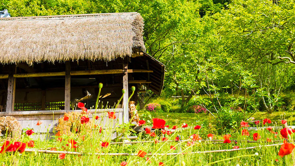 Tamba Sasayama Kominka Inn Shuraku Maruyama