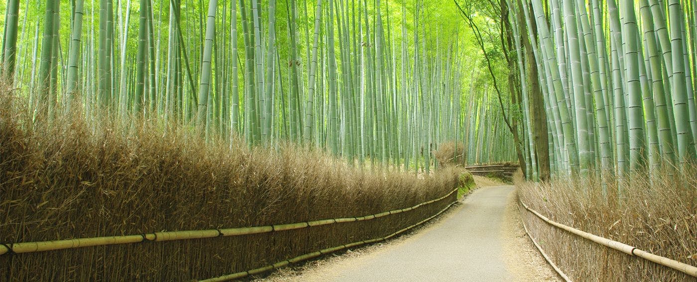 開智あんず庵 〈一棟貸し町家〉