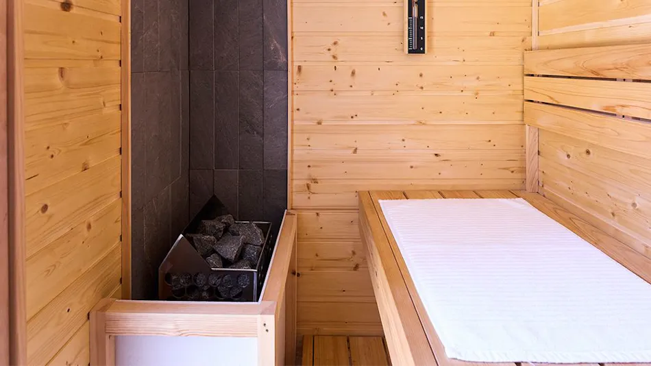 Beds and Dog Run