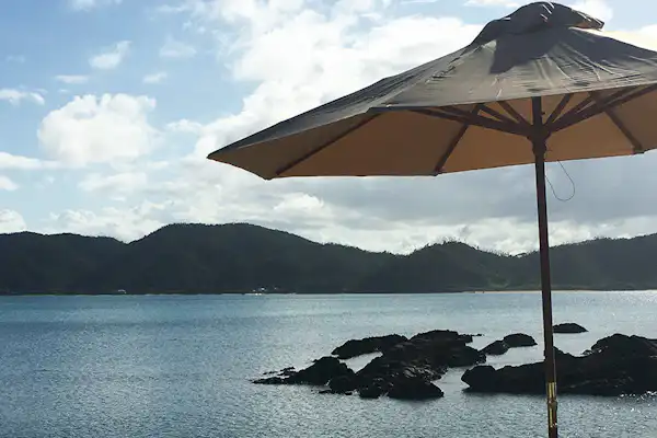 ทัศนียภาพโดยรอบ