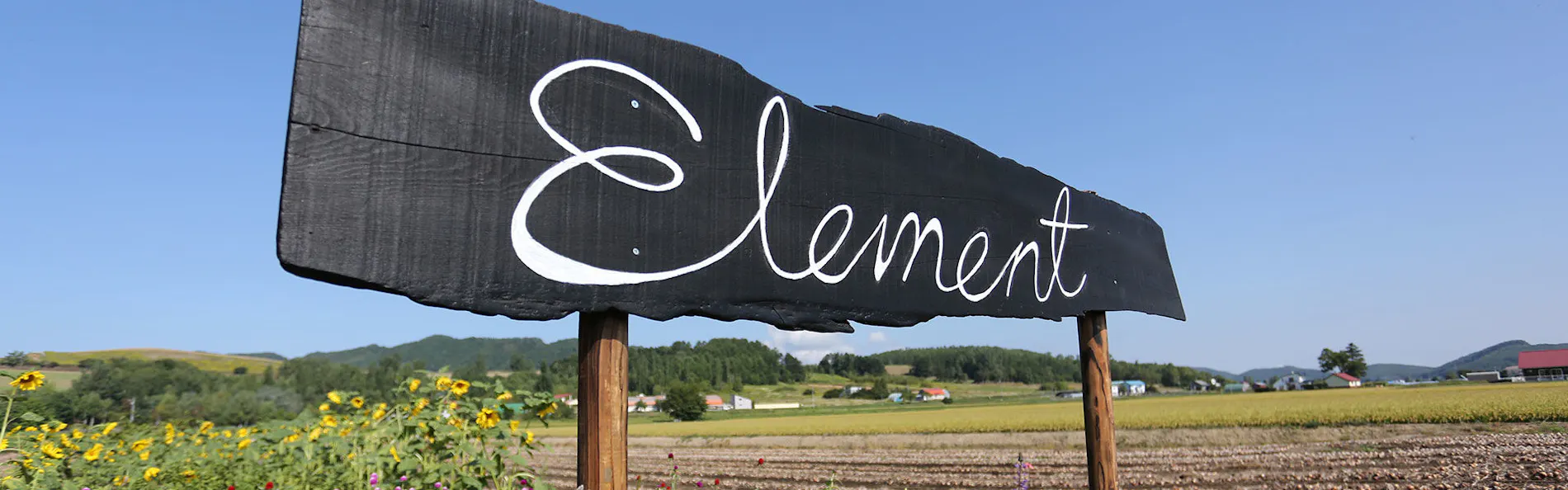 Element