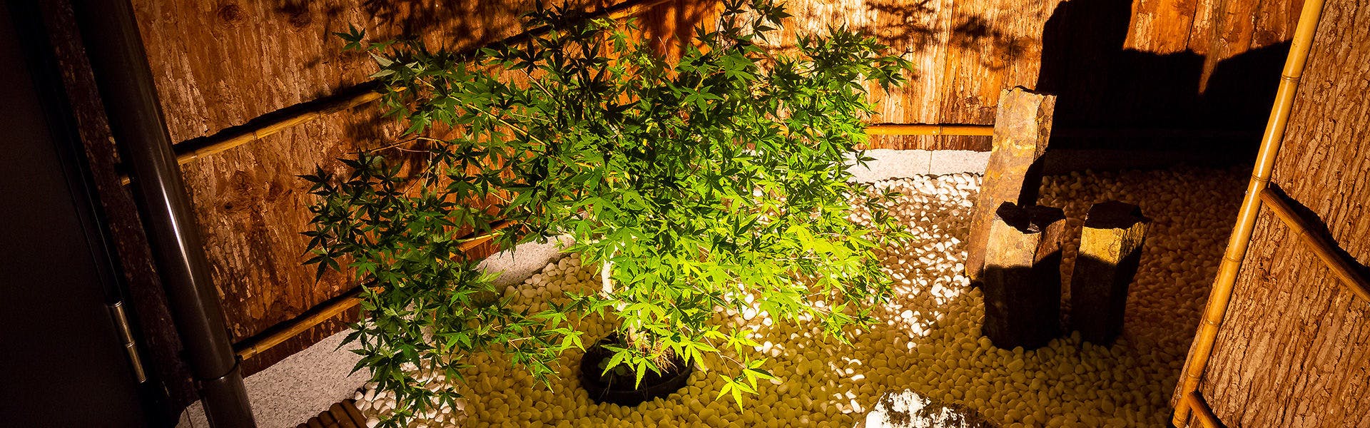 ลานกลาง