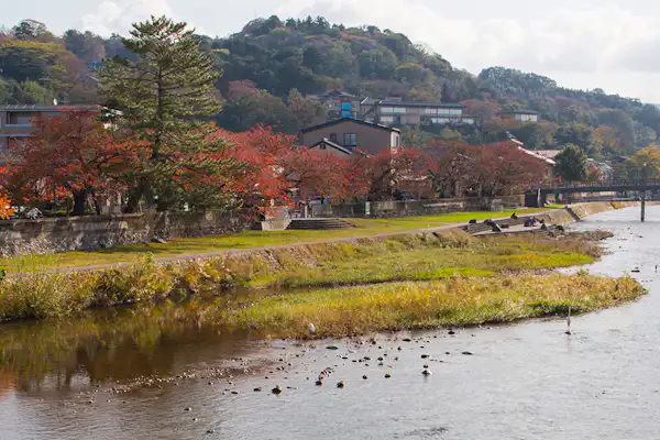 ทิวทัศน์