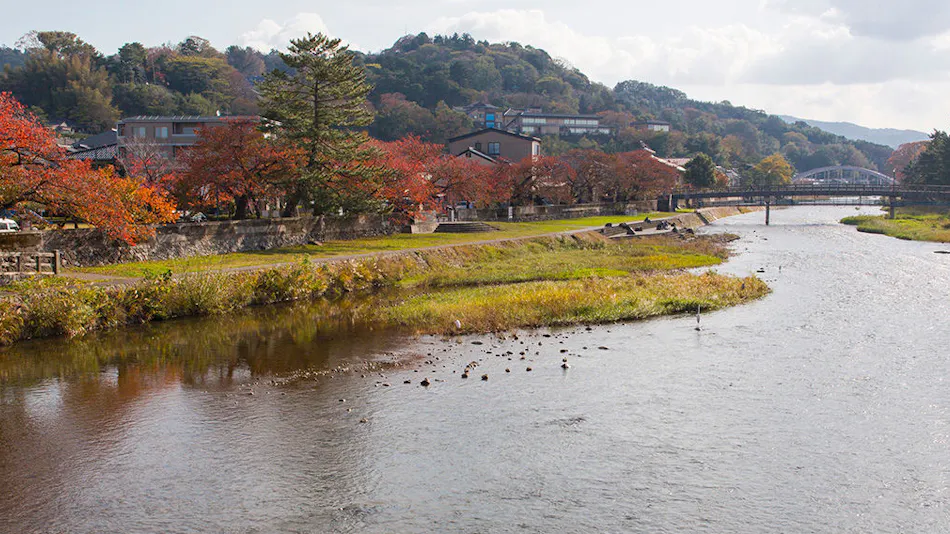 Higashiyama Sho