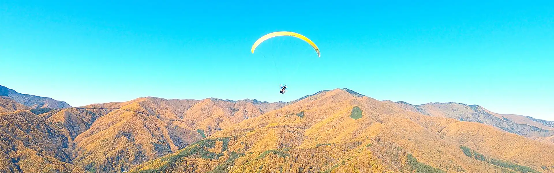 パラグライダー