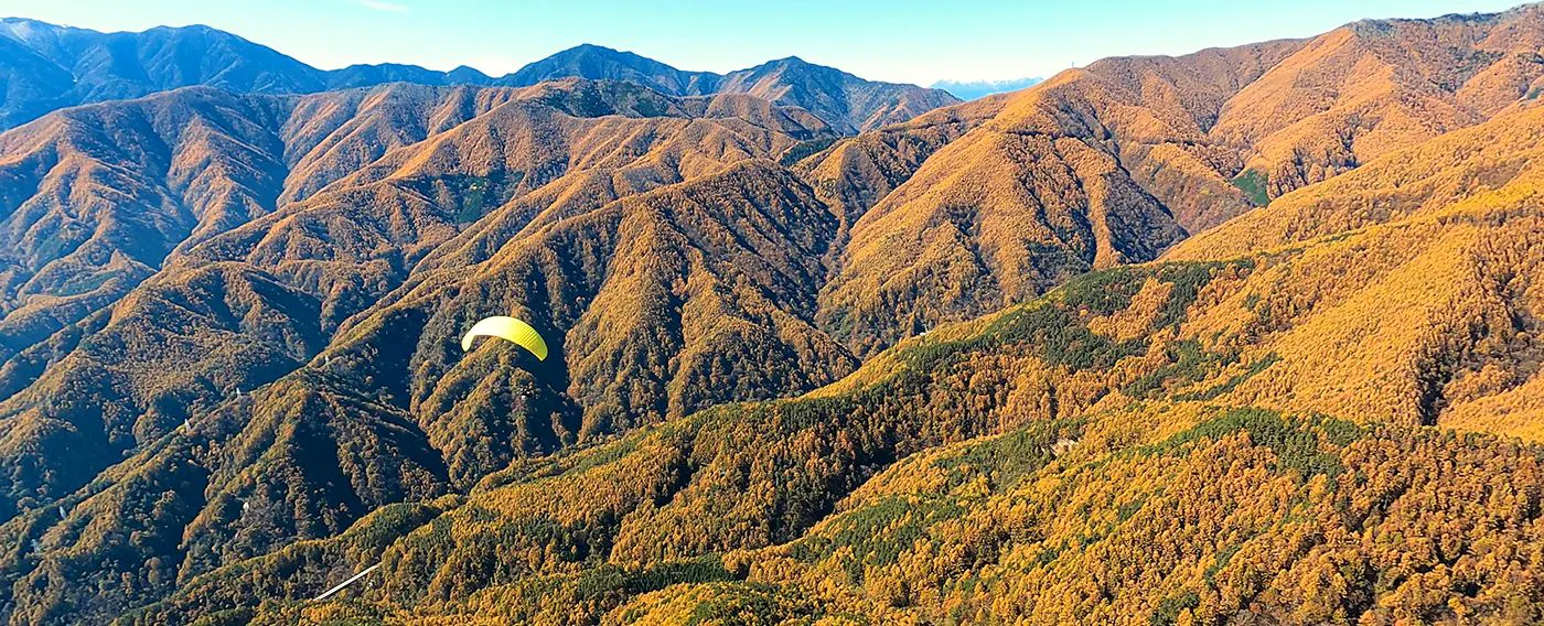 パラグライダー