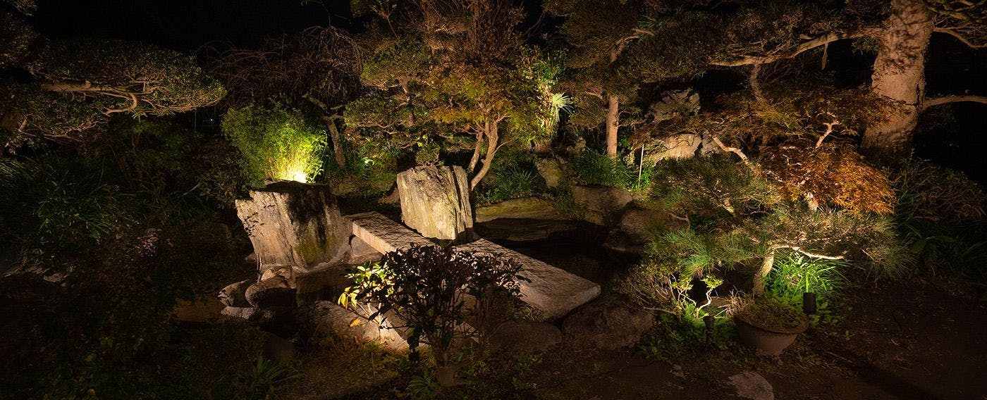 庭園（夜）