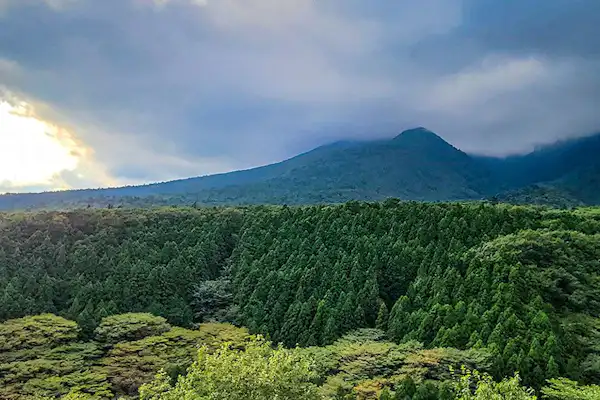 ทัศนียภาพภายนอก