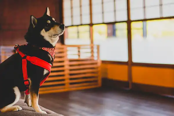 ห้องนั่งเล่น