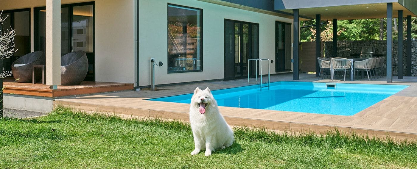 เป็นมิตรกับสัตว์เลี้ยง