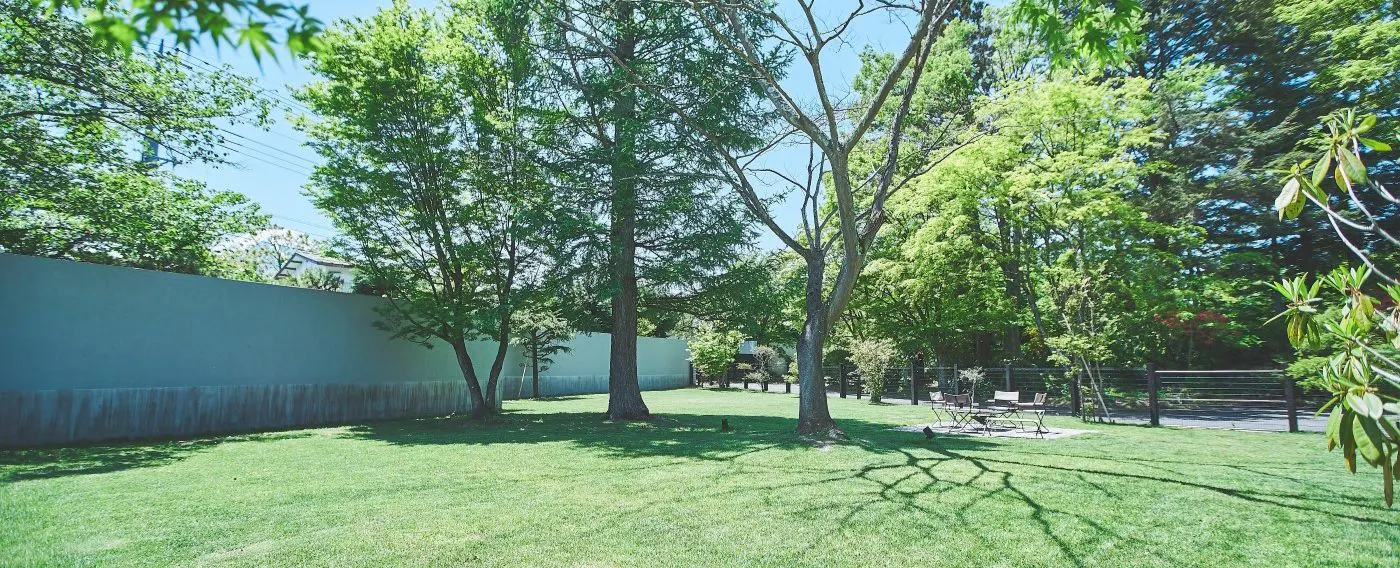 สวน (สนามหญ้าธรรมชาติ)