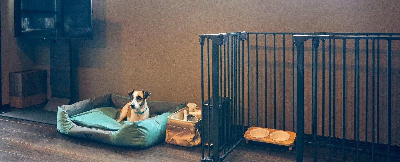 ルクス箱根湯本