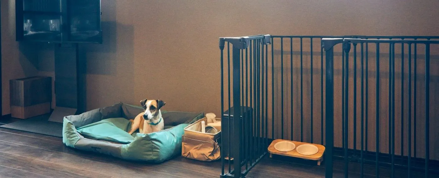 ペット同伴可能