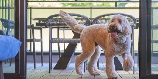 ルクス箱根湯本