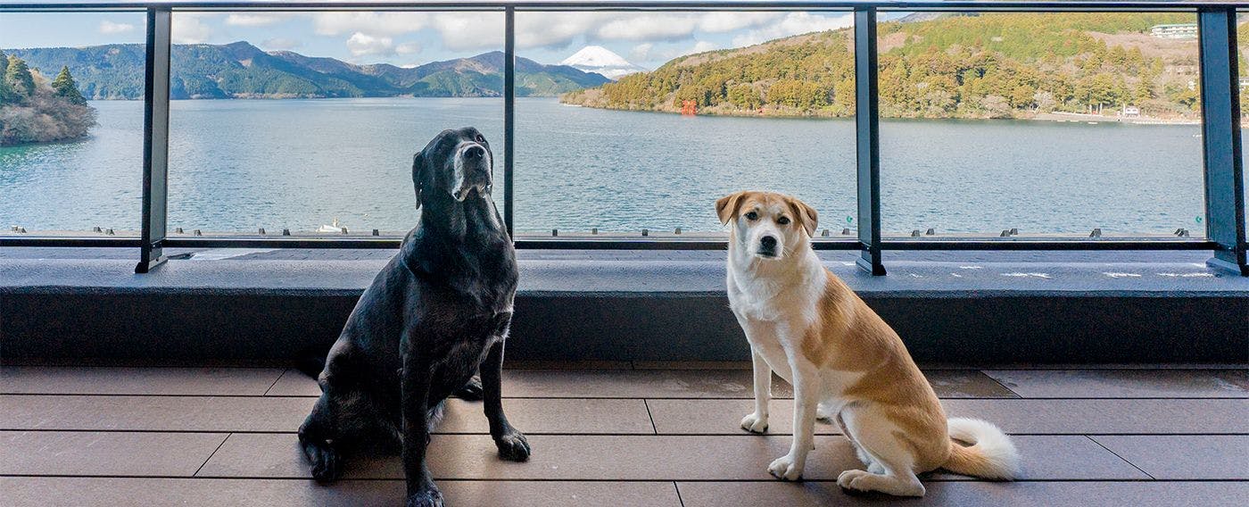 Rakuten STAY FUJIMI TERRACE Hakone Ashinoko