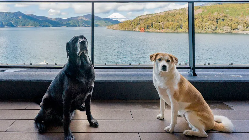 Rakuten STAY FUJIMI TERRACE Hakone Ashinoko