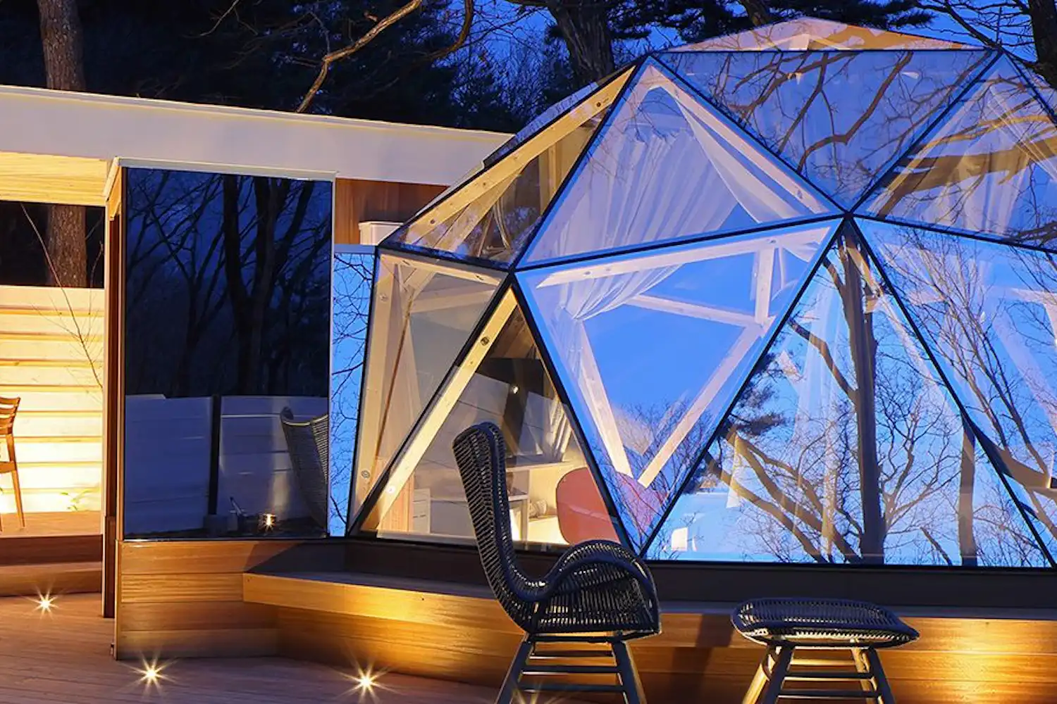 รูปลักษณ์ภายนอก