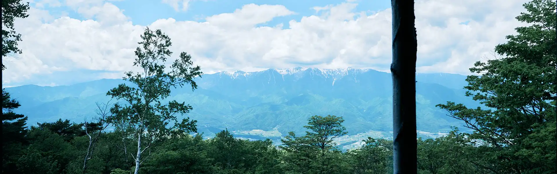 景色