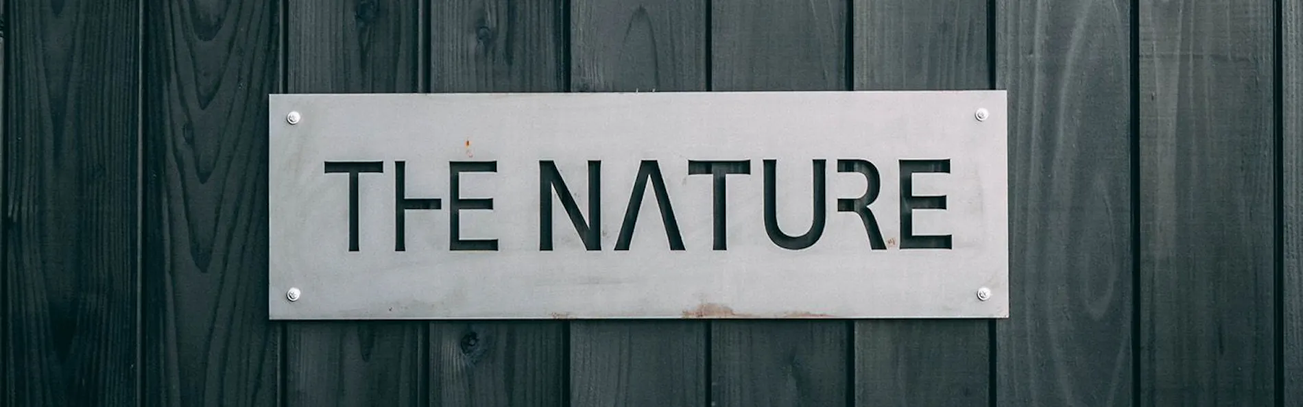 THE NATURE 八ヶ岳