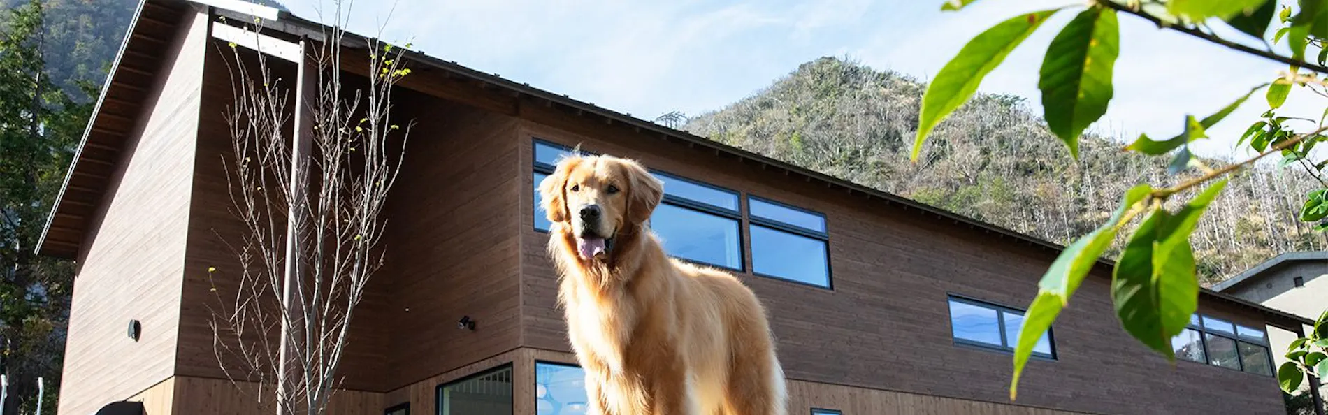 ASNOVA RESORT / FOLQ HAKONE GORA