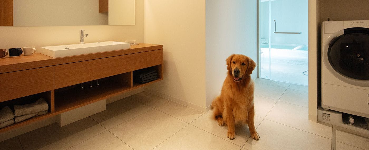 ASNOVA RESORT / FOLQ HAKONE GORA