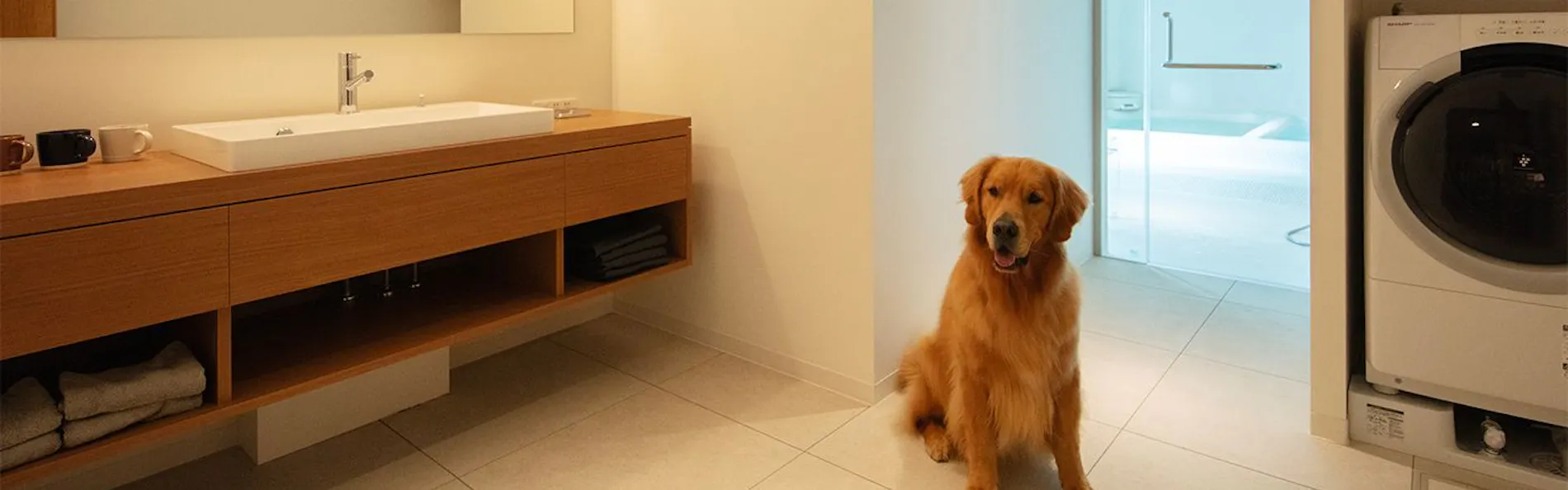 ASNOVA RESORT / FOLQ HAKONE GORA