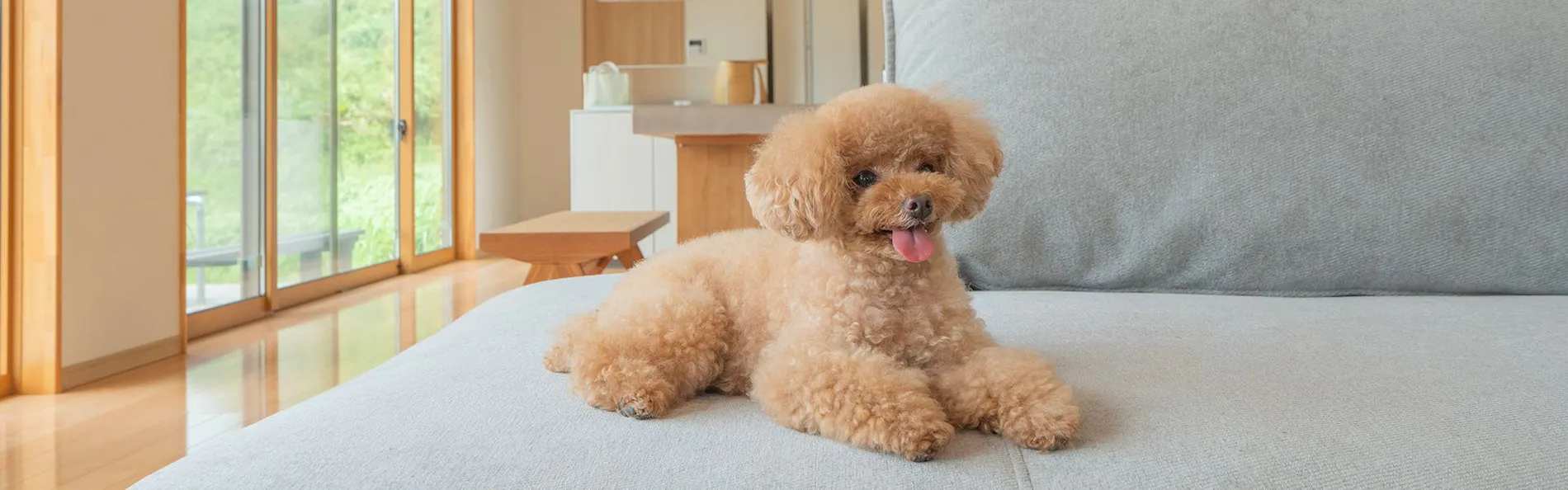 ドギーズ 館山 布良海岸 by GIFTHOUSE - Dog friendly villa -