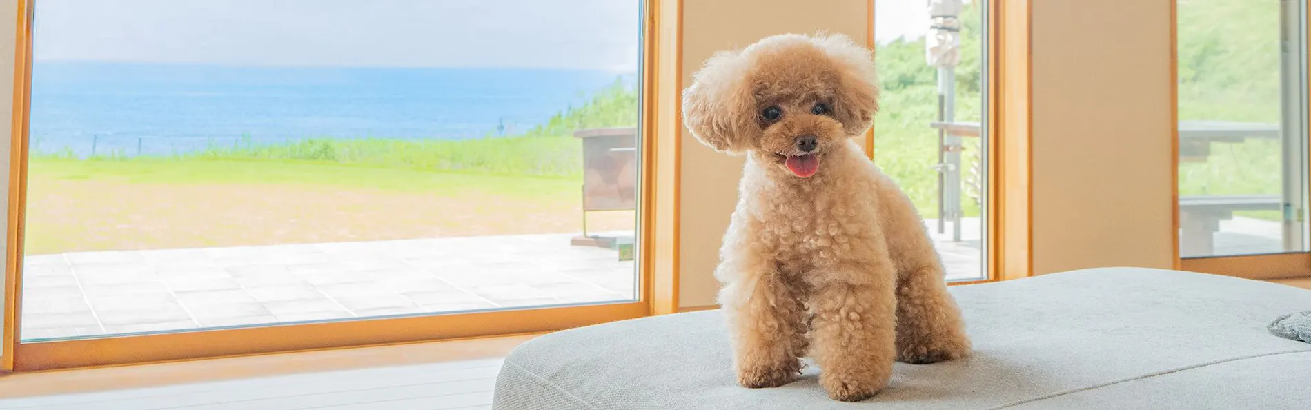 ドギーズ 館山 布良海岸 by GIFTHOUSE - Dog friendly villa -