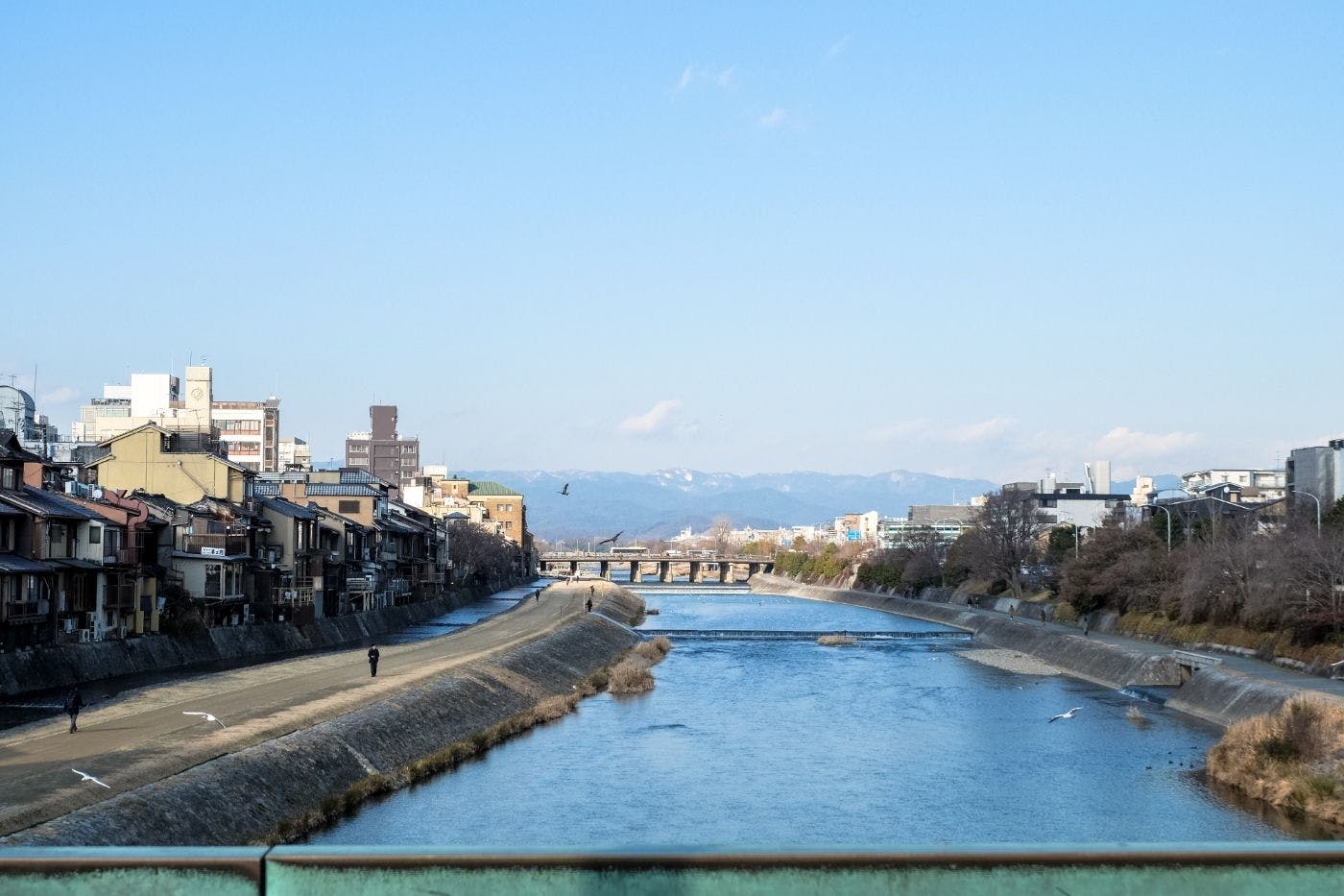 文化と歴史を刻んできた鴨川エリア