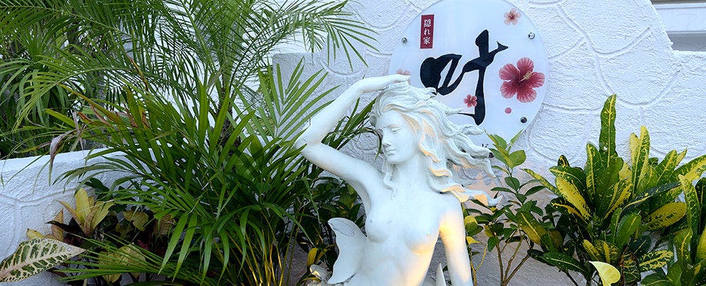 画像b_m_001.JPG