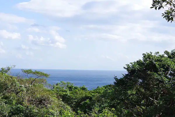 ทัศนียภาพ