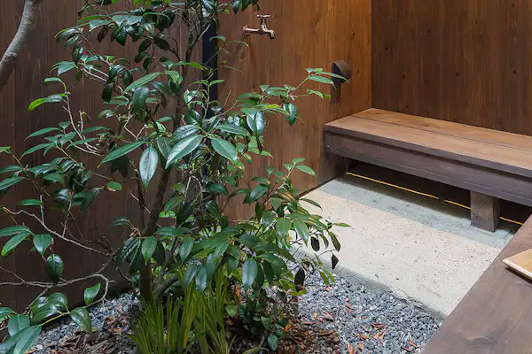 ลานกลาง