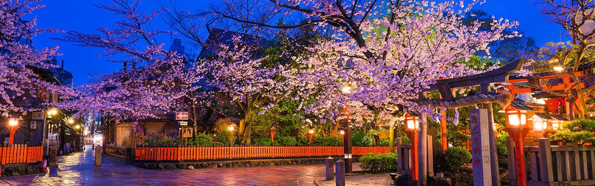 東寺あけぼの庵 〈一棟貸し町家〉