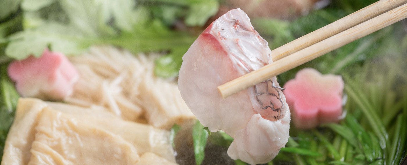Shirasagi Kyoto（京宿しらさぎ）
