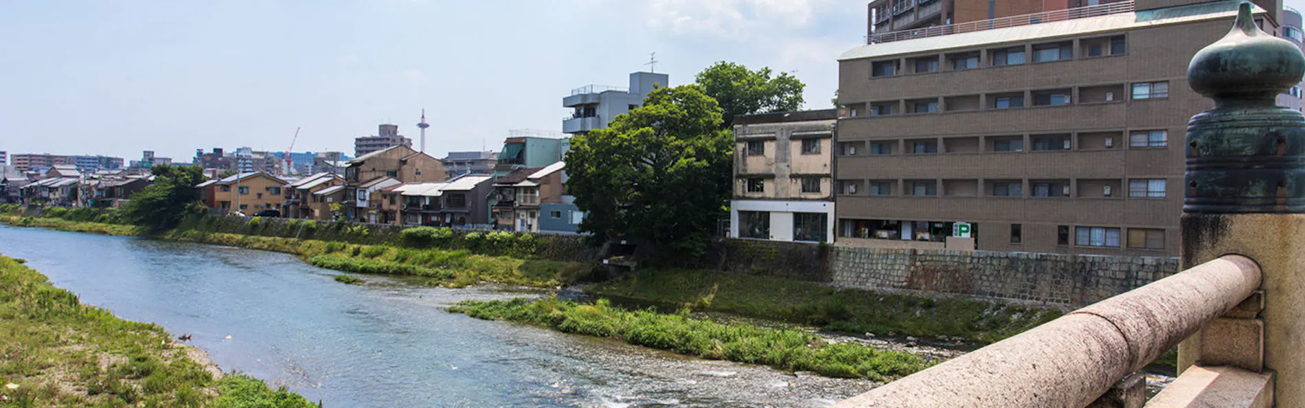 Shirasagi Kyoto(京宿しらさぎ)