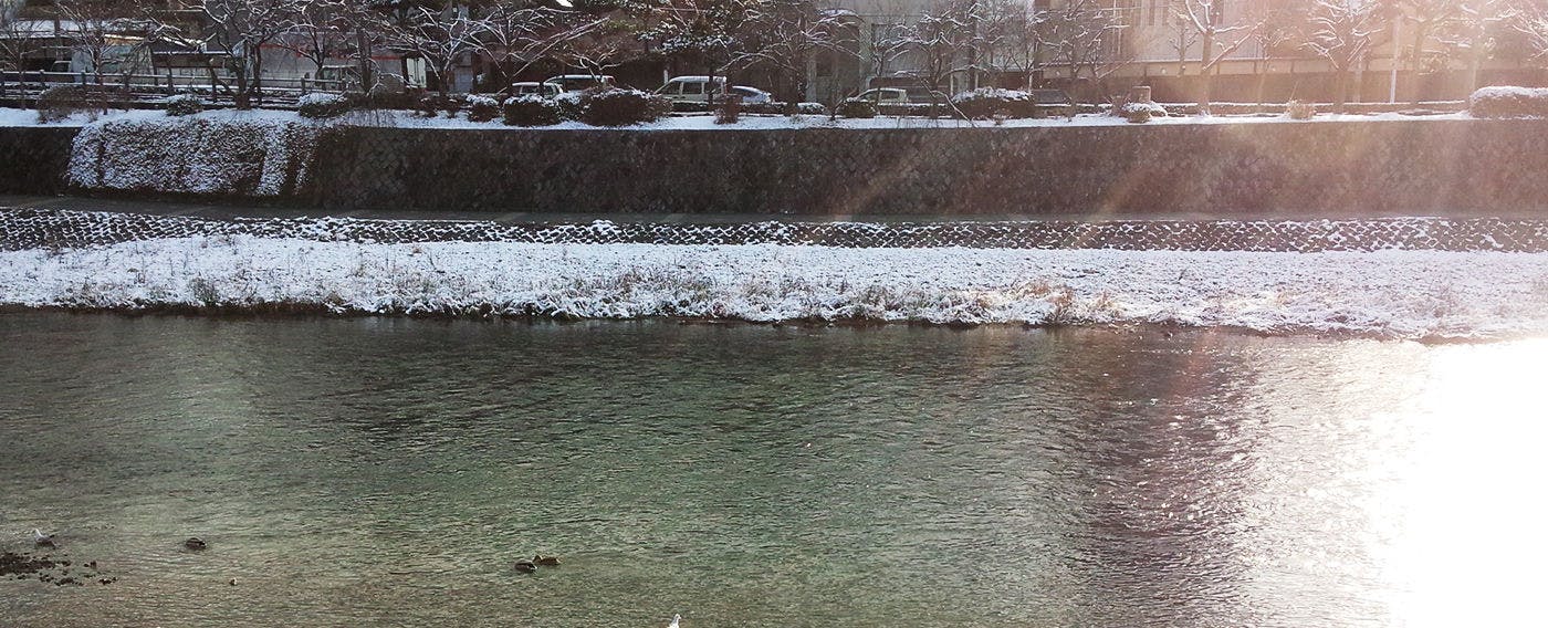 Shirasagi Kyoto（京宿しらさぎ）