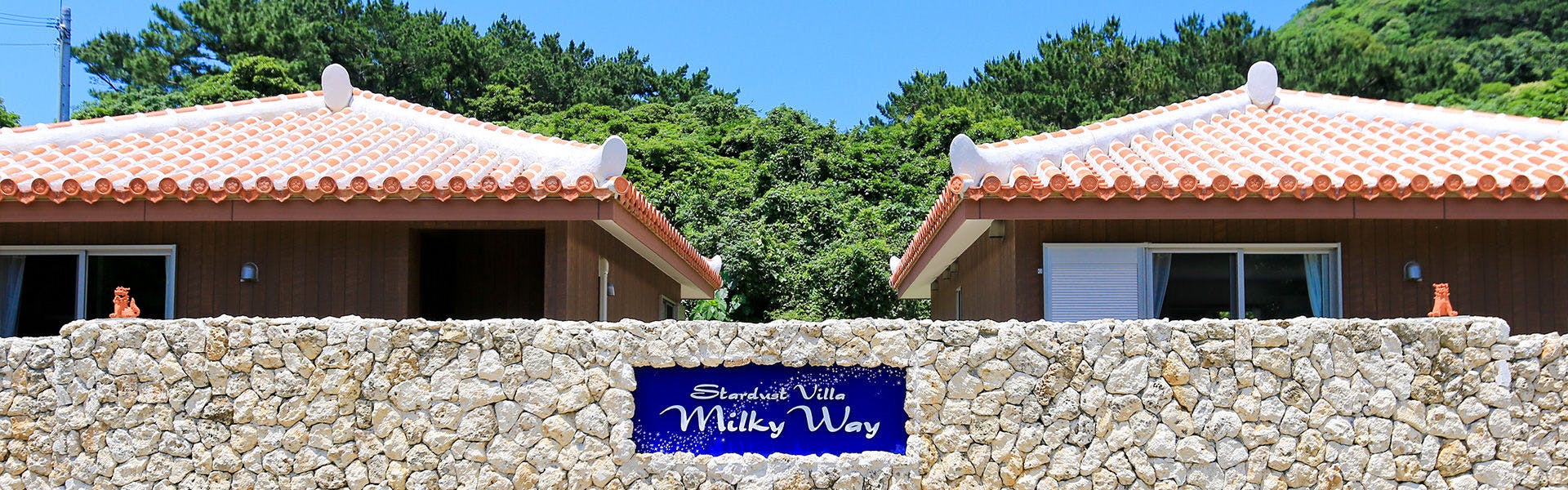 รูปลักษณ์ภายนอก