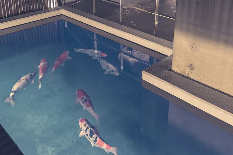 善京都アパートメントホテル の空室状況を確認する 宿泊予約は 一休 Com 善京都アパートメントホテル の空室状況を確認する 宿泊予約は 一休 Com