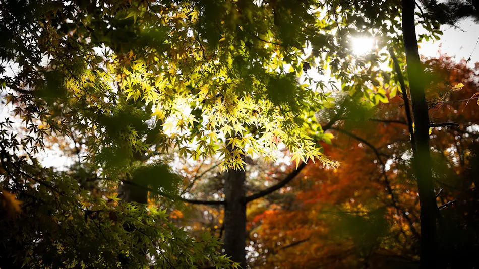 COCO VILLA Karuizawa